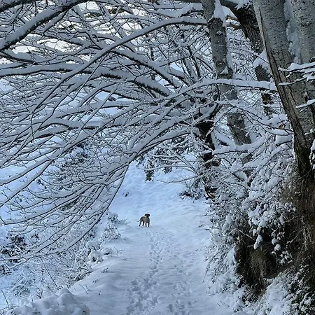 Ollar Do Cido Hébergement de vacances Seoane