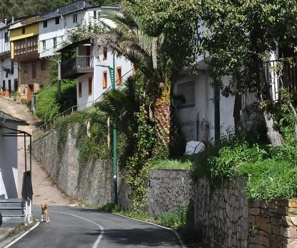 Ollar Do Cido * Seoane