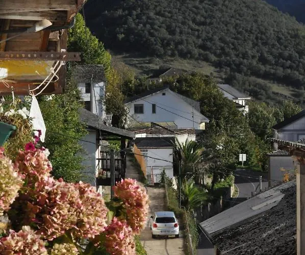 Ollar Do Cido * Seoane