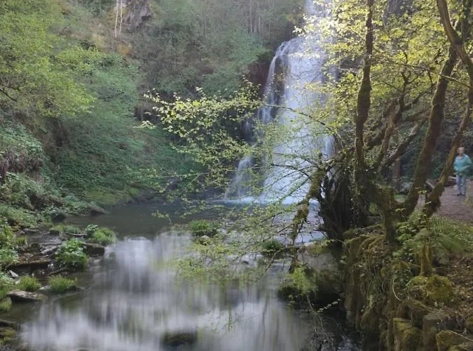 Ollar Do Cido 펜션 Seoane